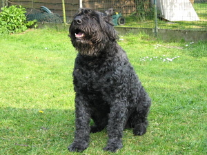 Olga,mijn stukje goud