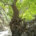 in agia irini kloof