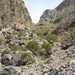 kallikratis kloof