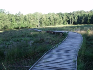 Loopbrug over natte venen 1