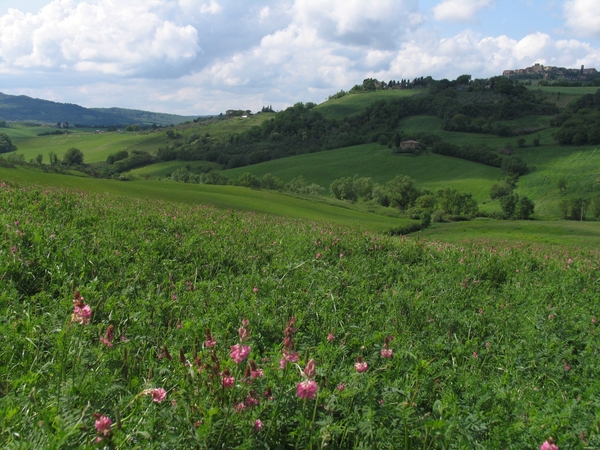 08 mei 2010 - Mensano (02)