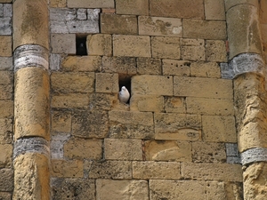 09 mei 2010 -  Volterra (34)