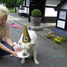 BILD1587