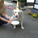 BILD1588