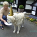 BILD1594