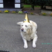 BILD1595