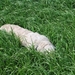 downloadimage10