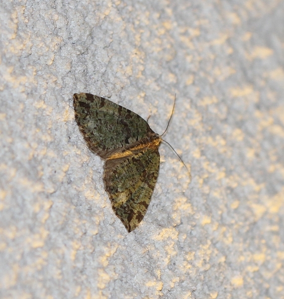 IMG_2990VARIABELE SPANNER