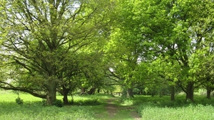 Oude Landen (Ekeren)