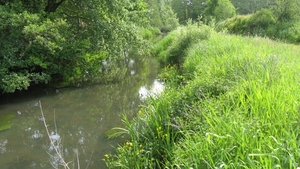 Kleine beek (Viersels Gebroekt)