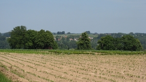 Vlaamse Ardennen