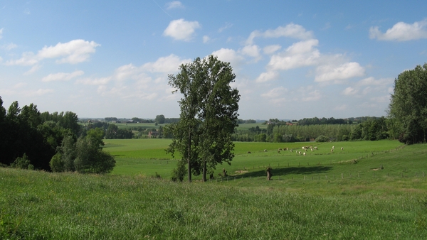 Vlaamse Ardennen
