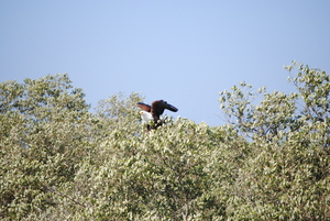 Landing gelukt