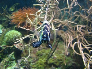 IMG_1953 [1600x1200]