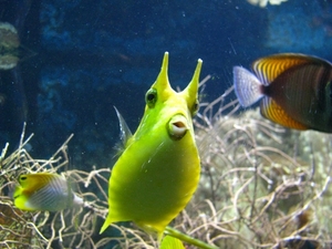 IMG_1962 [1600x1200]