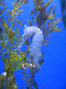 IMG_1995 [1600x1200]