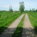 DSCN5776