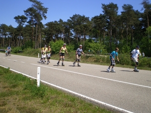 IMGP0971