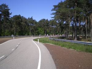 IMGP0976