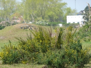 VillaMaritiemMei2010 035