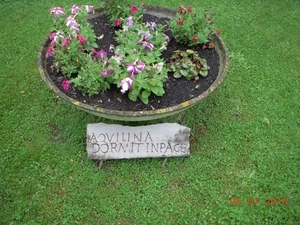Grafsteen: Aquilina rust in vrede.