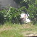 CIMG0690