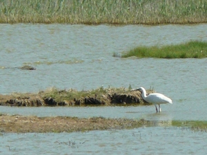 slot Baarland+trip 038