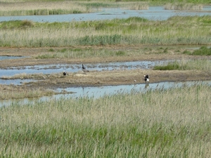 slot Baarland+trip 039