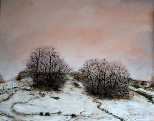 Hoge Blekker in winter