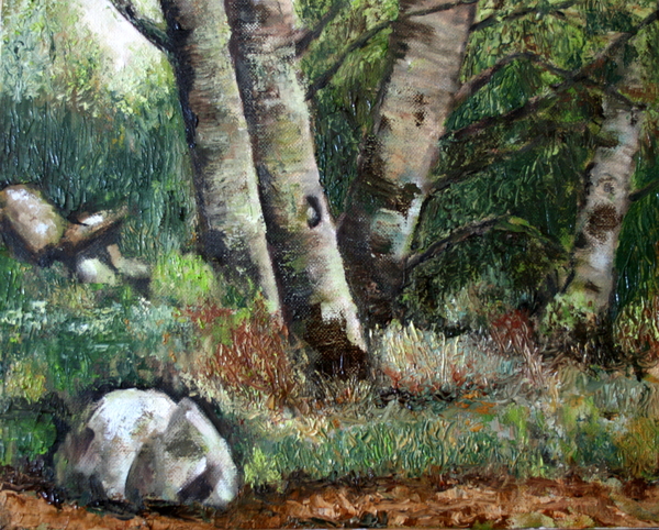 Boszicht naar H. Van De Velde