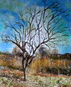 Winter in natuurgebied 