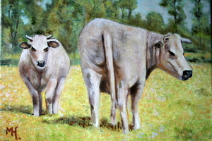 Twee koeien naar A. D'Heye