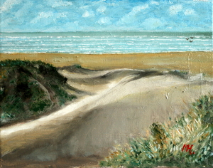 Koksijde - Zee strand en duinen