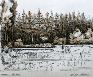 Blaasveld - Het Broek