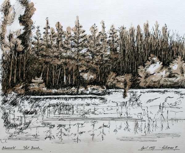 Blaasveld - Het Broek