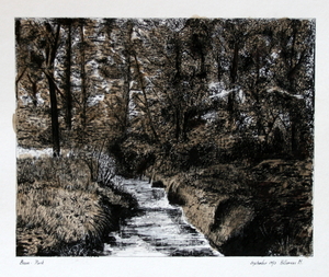 BOOM - Gemeentelijk park