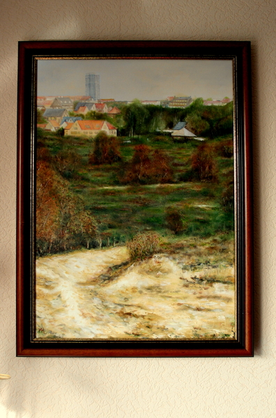 zicht op Doornpanne vanop de Hoge Blekker