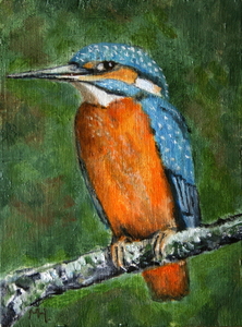 IJsvogel