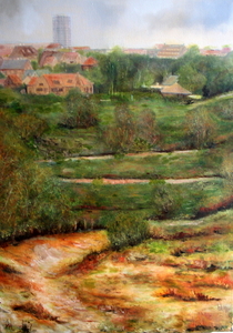 Panorama Doornpanne van op Hoge Blekker