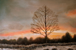 Koksijde - winter in de Doornpanne