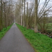 De verkortingsdijk in Bazel.