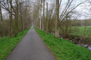 De verkortingsdijk in Bazel.