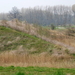 bazel 2008