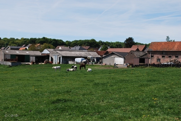 2010-05-22 Okegem AM  (17)