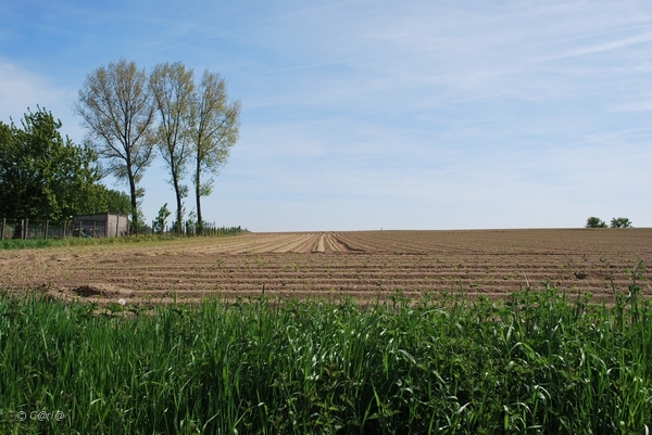 2010-05-22 Okegem AM  (43)