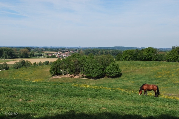 2010-05-22 Okegem AM  (67)