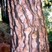 IMG_5522test