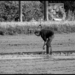 P1020992 - kopie (2)