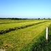 2010_05_24 Philippeville 12