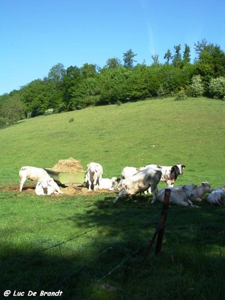 Ardennen wandeling Adeps Philippeville